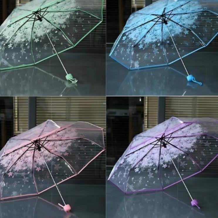 Transparent Umbrella Cherry Blossom Korean Version (100% Original)